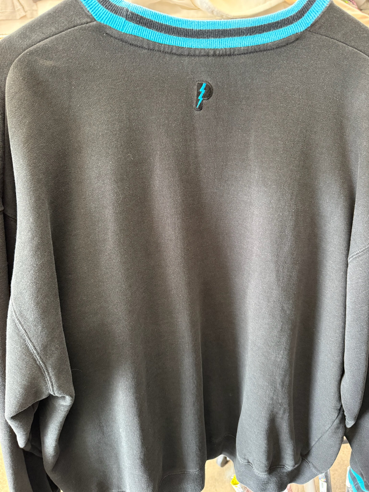 (XL) Vintage Carolina Panthers Pro Player Crewneck