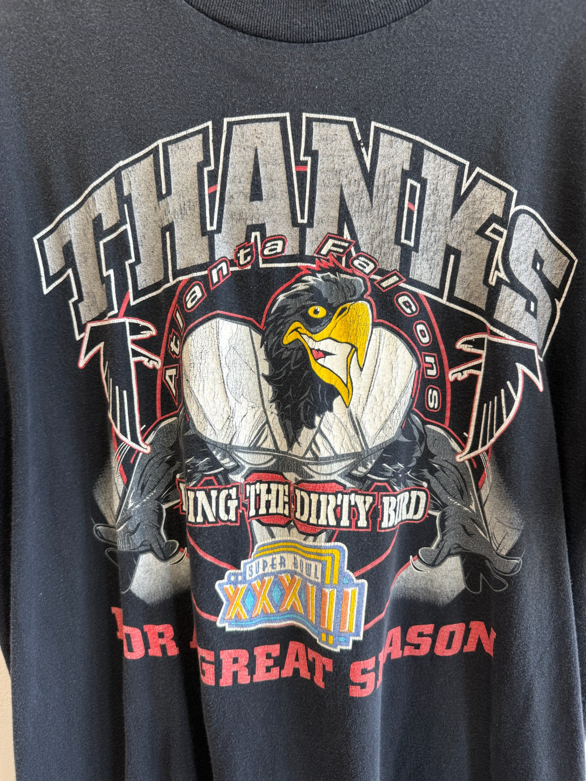 (L) Vintage Atlanta Falcons Mascot Tee